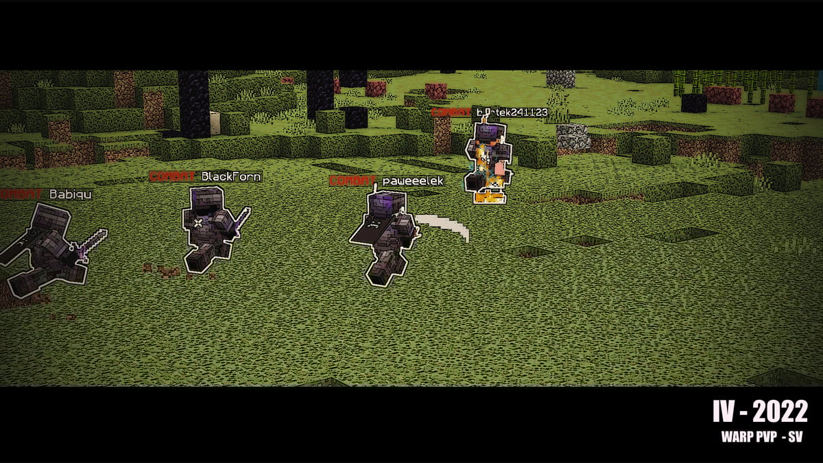 BFSMC.PL - Serwery 1.21.x